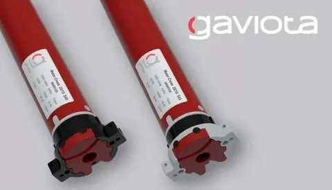 Gaviota